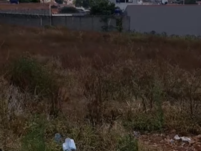 Ocorrência similar